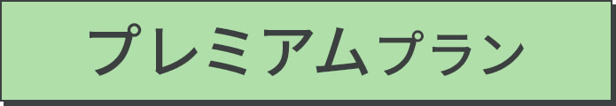 プレミアムプラン